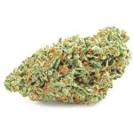 Шишки OG Kush  (Гидропоника, бошки) VHQ в Скопине